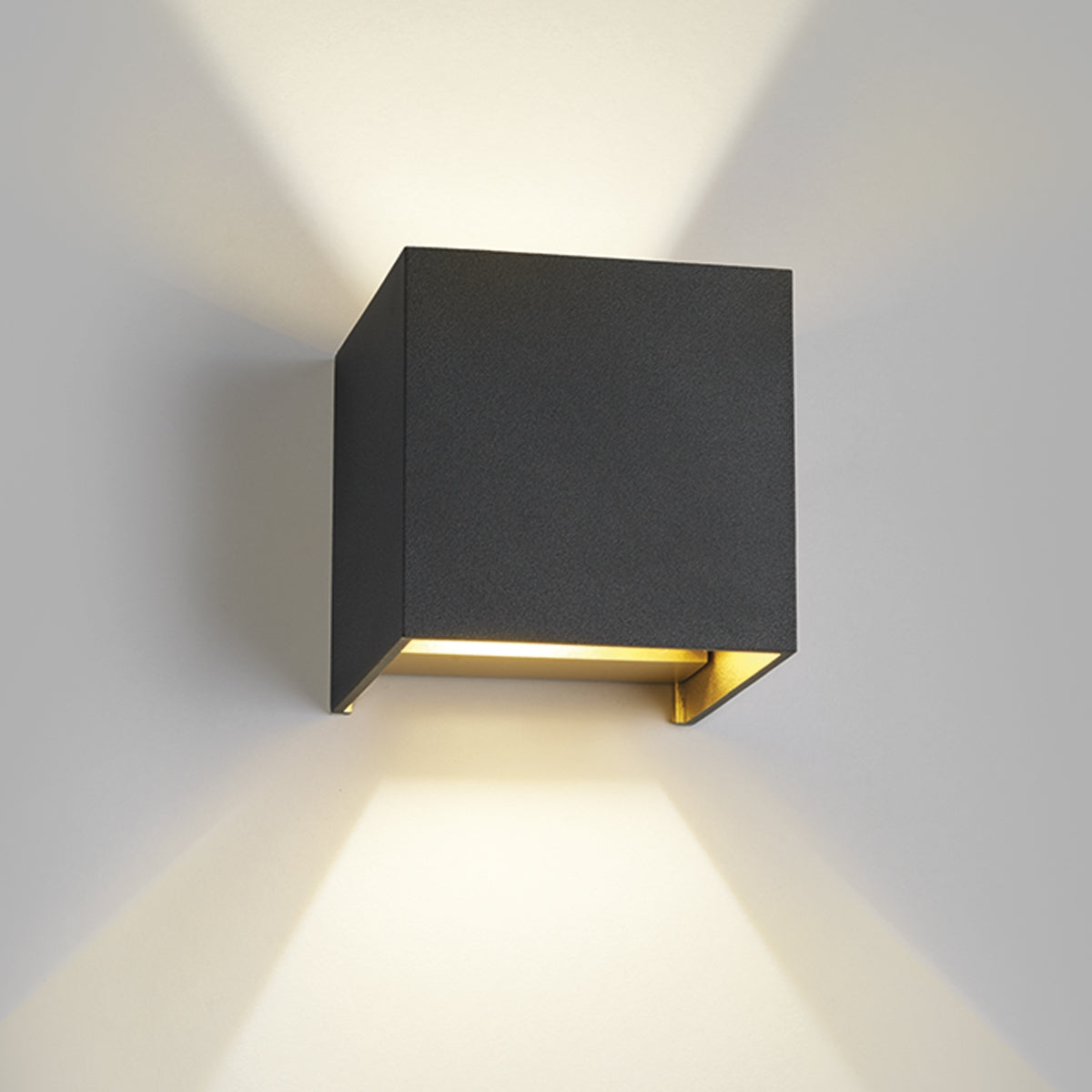 Box Sort/guld