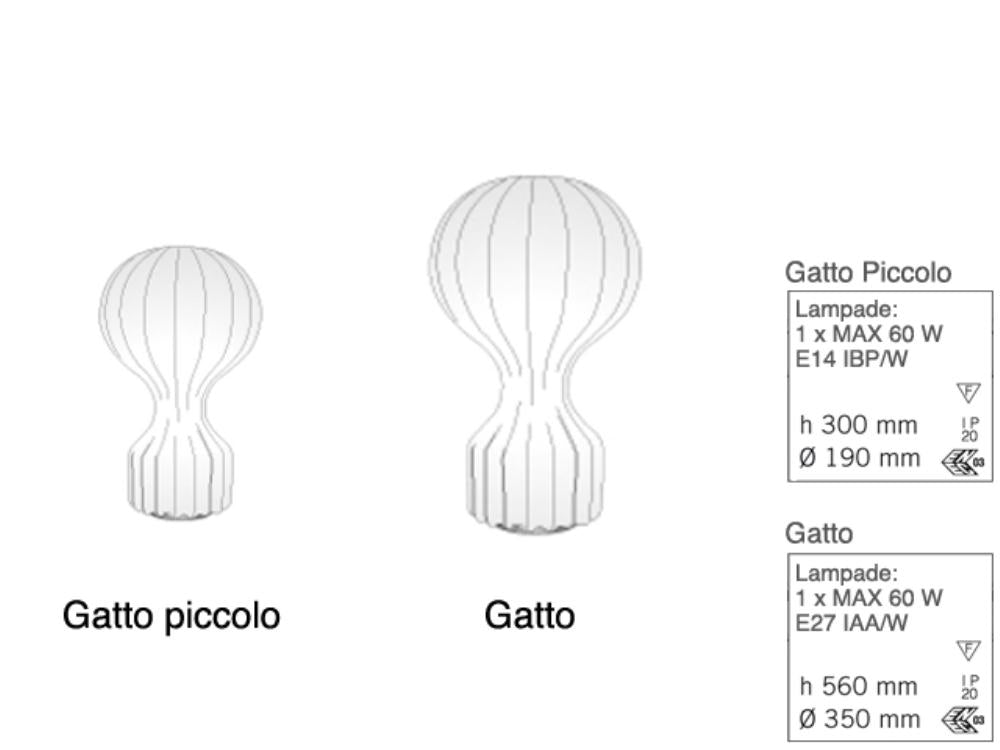 Gatto Piccolo