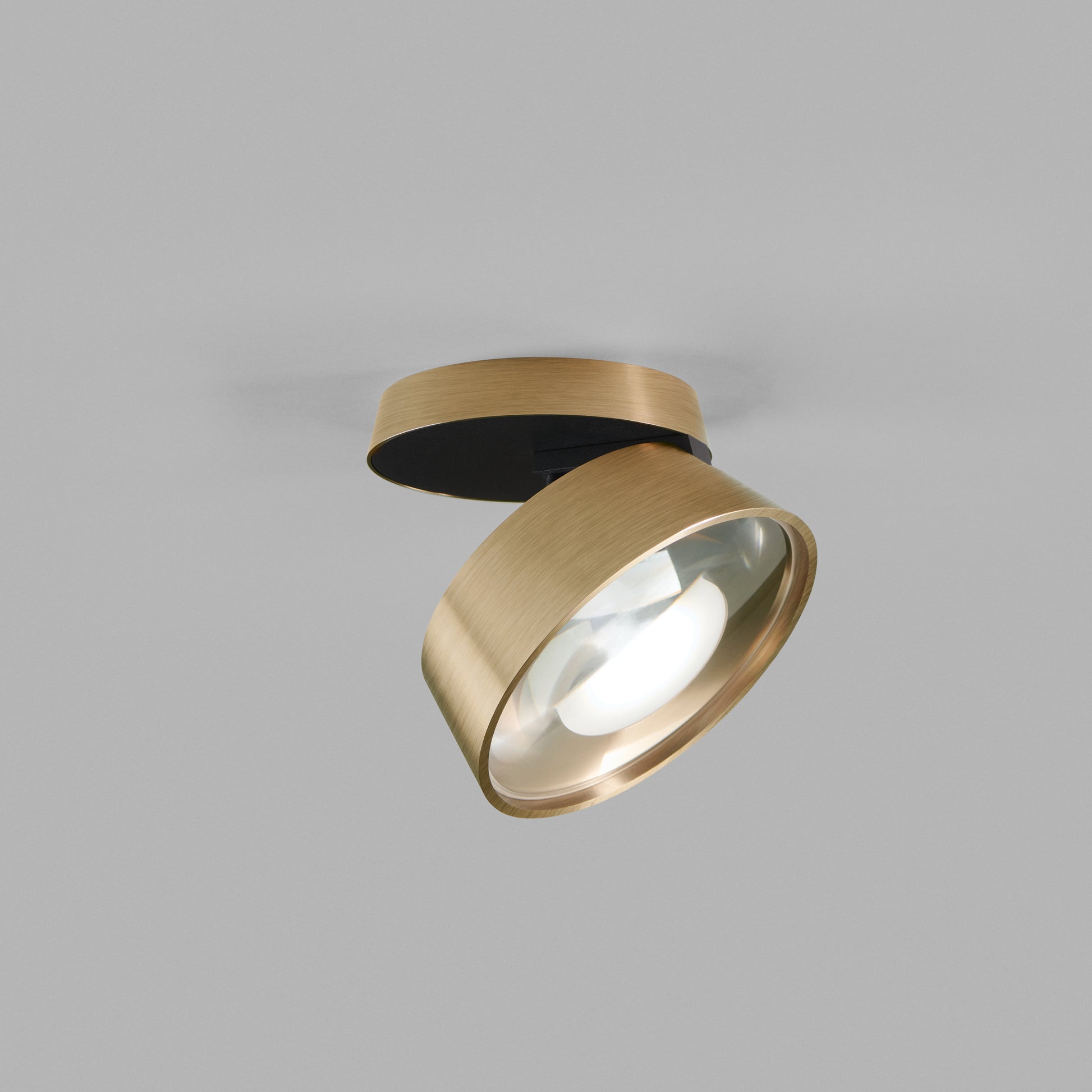 Vantage 1+ Brass 15W