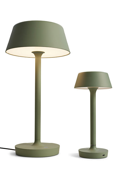 Companion Big T2 Mat Grøn