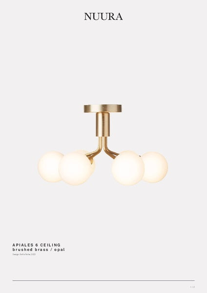 Apiales 6 børstet messing/opal loftslampe