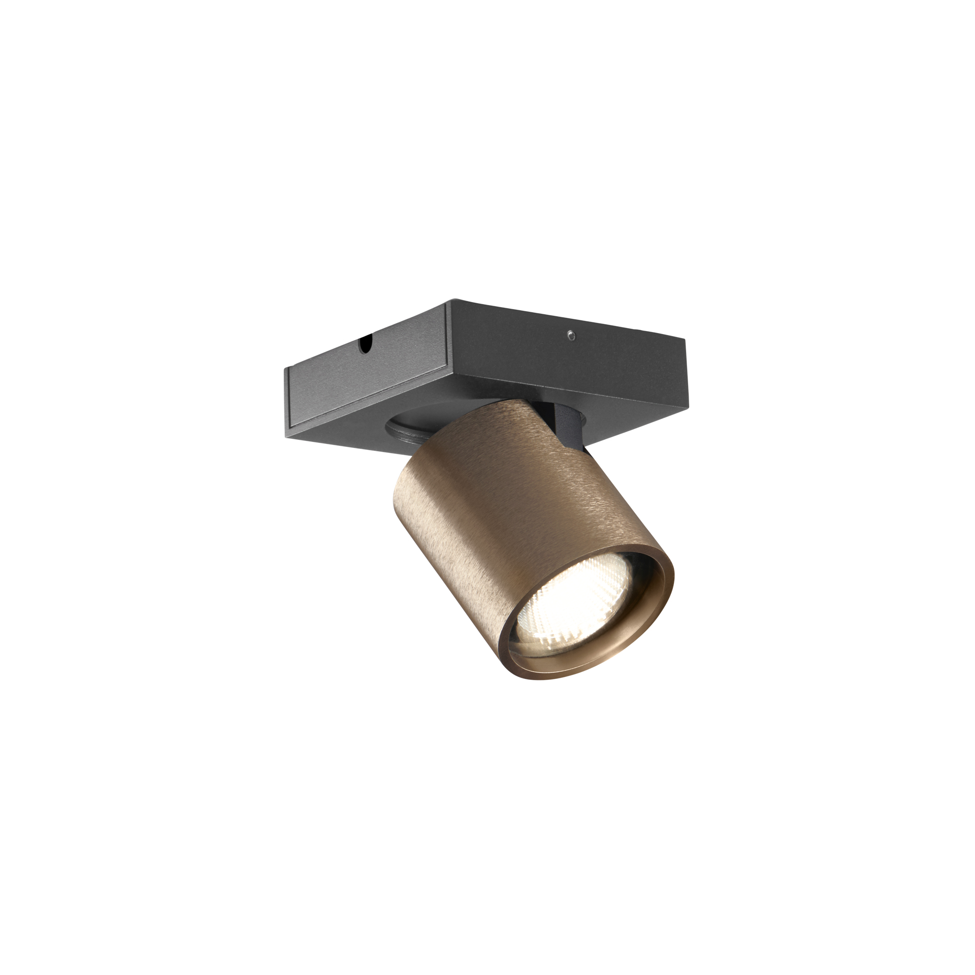 FOCUS 1 SWITCH TUNE SPOT ROSE GOLD