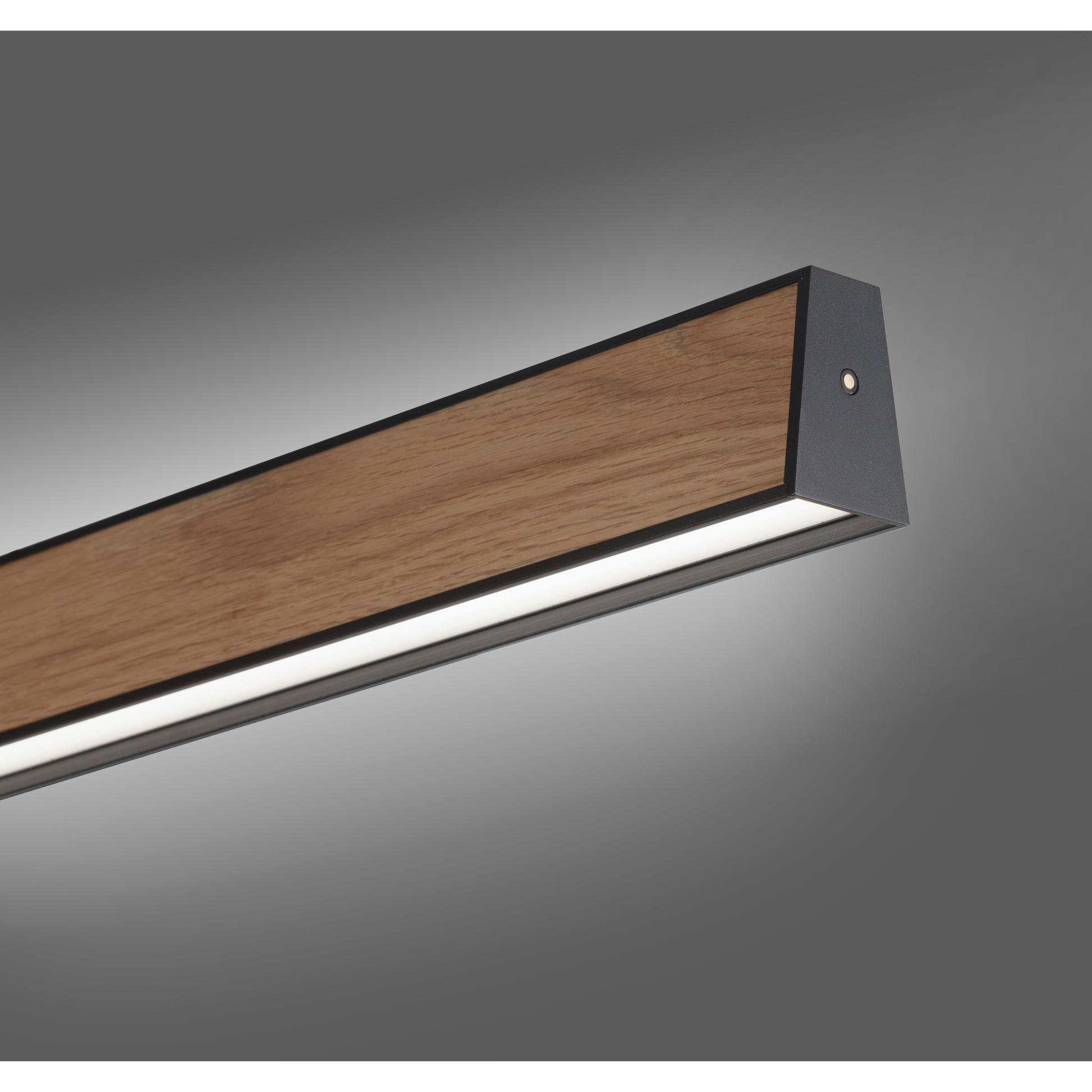 Pure e-motion langbordspendel med motor hejs natur træ / sort