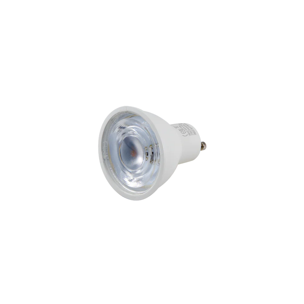 Focused Idea | Bulb